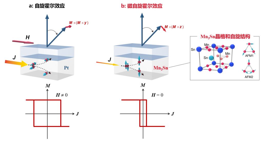 6合彩结果